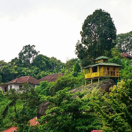 Oyo 10262 Hotel Munnar Rock Ngoại thất bức ảnh